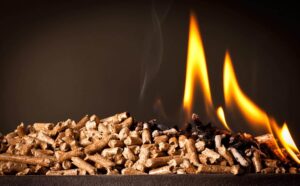 True North Pellet Fire